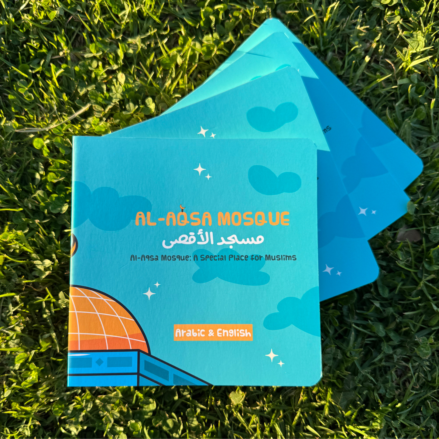 Al-Aqsa Mosque Illustrated Board Book