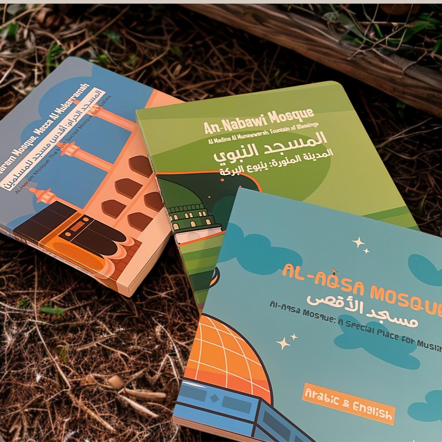 Holy Mosques Board Books (Set of 3)